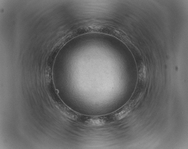 X0000068740464200605051455