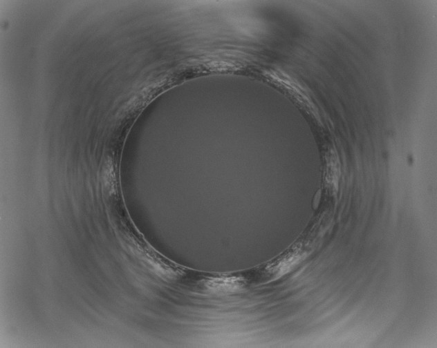 X0000068740465200605051455