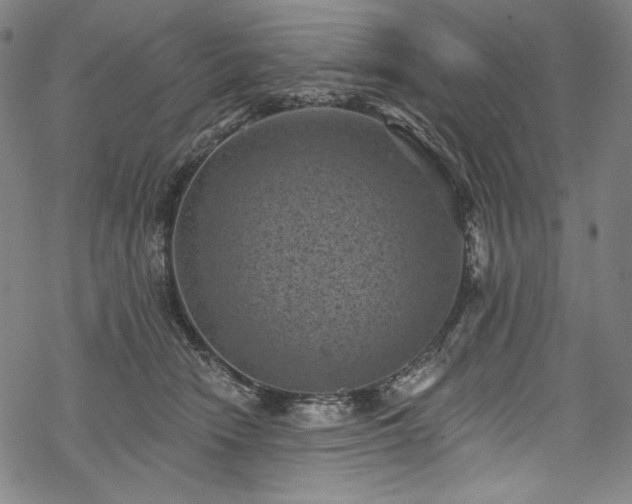 X0000068740466200605051455