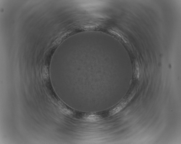 X0000068740467200605051455