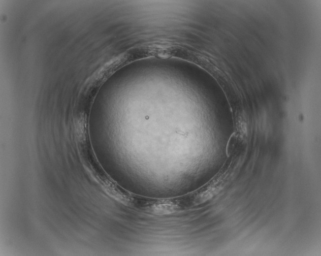 X0000068740468200605051455