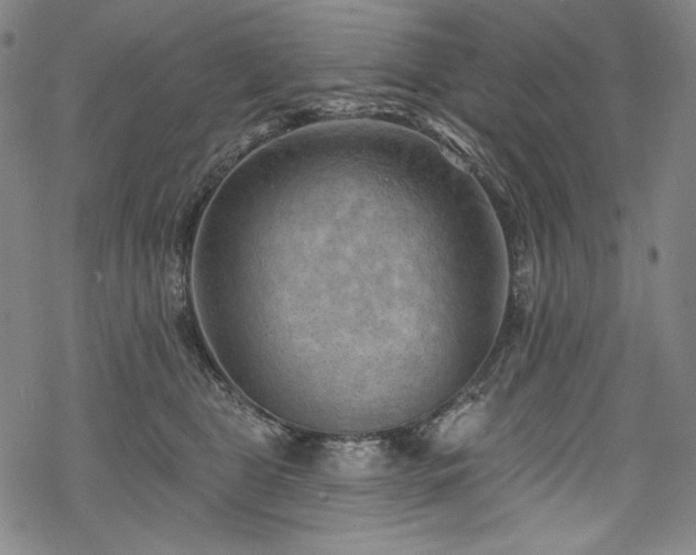 X0000068740469200605051455