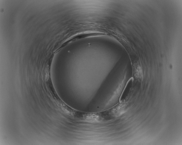 X0000068740471200605051455