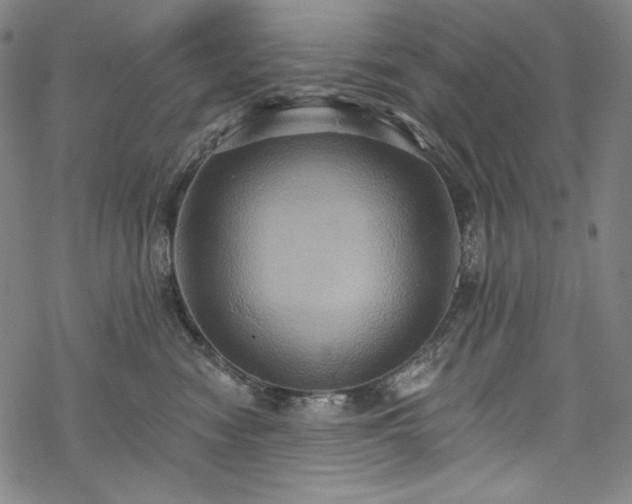 X0000068740474200605051455