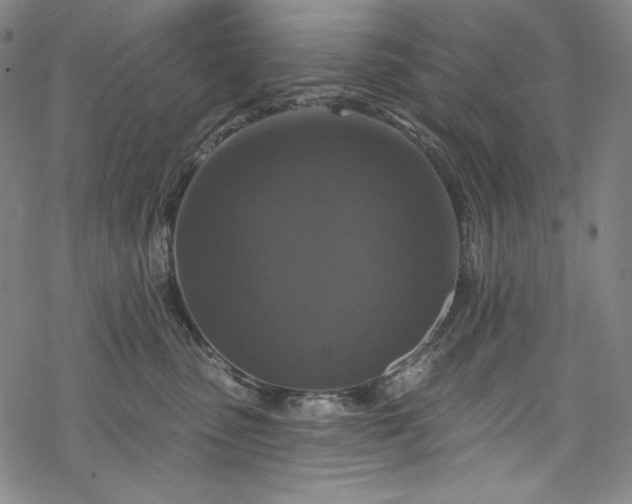 X0000068740475200605051455