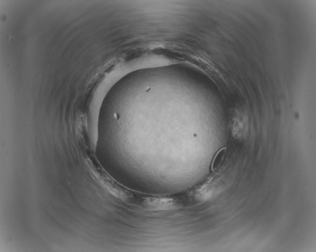 X0000068740476200605051455