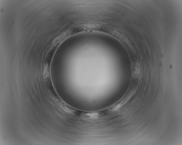 X0000068740478200605051455