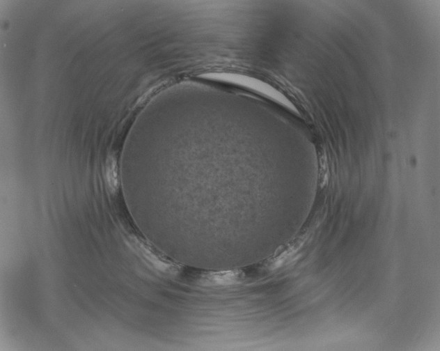 X0000068740479200605051456