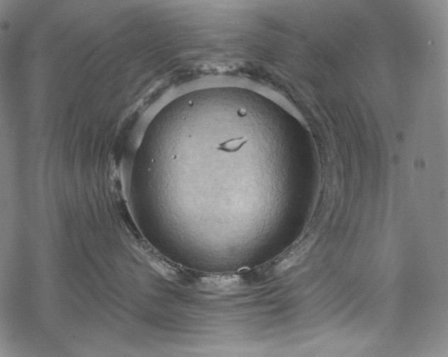 X0000068740480200605051456