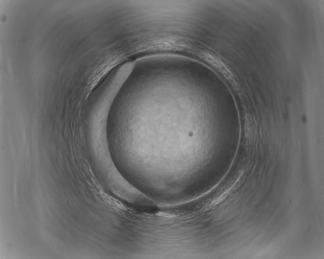 X0000068740481200605051455