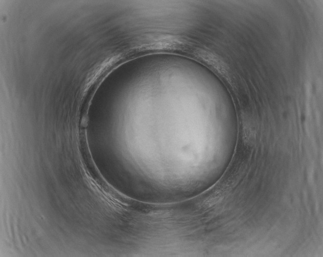 X0000068740482200605051455