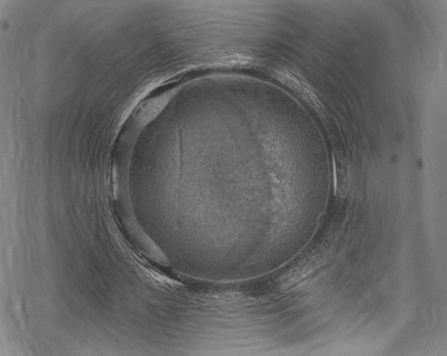 X0000068740483200605051455