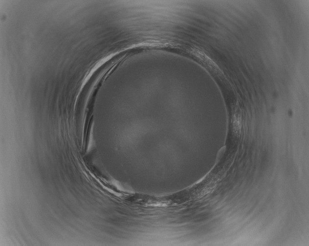 X0000068740484200605051455