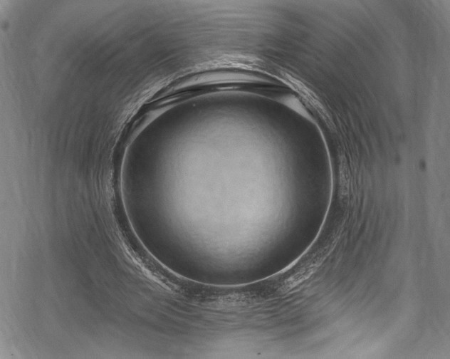 X0000068740485200605051455