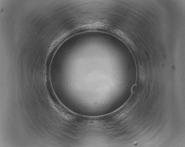 X0000068740486200605051455