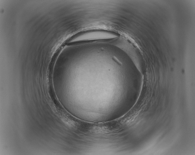 X0000068740487200605051455