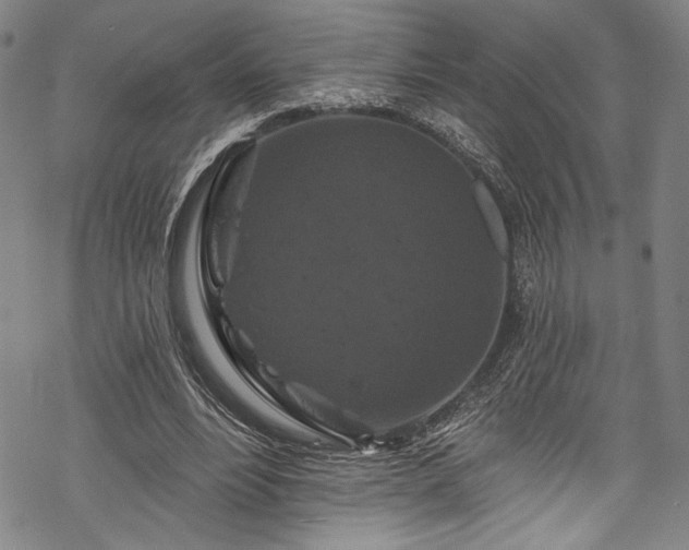 X0000068740488200605051455