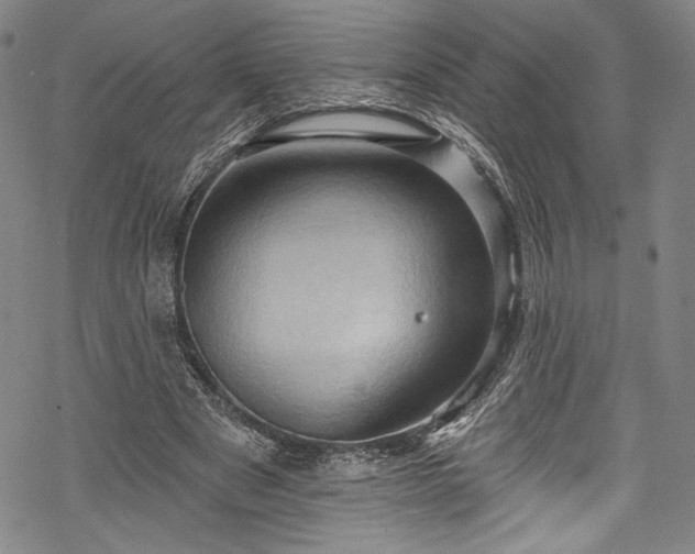 X0000068740489200605051455