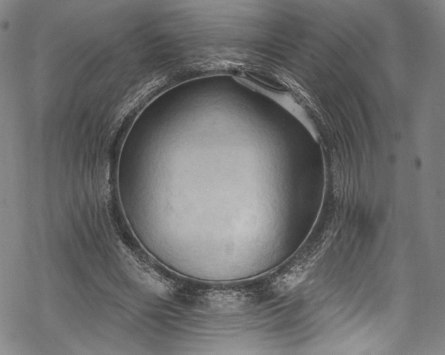 X0000068740490200605051455