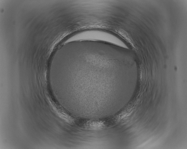 X0000068740491200605051455