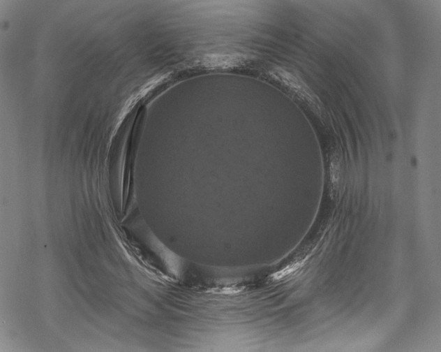 X0000068740492200605051455