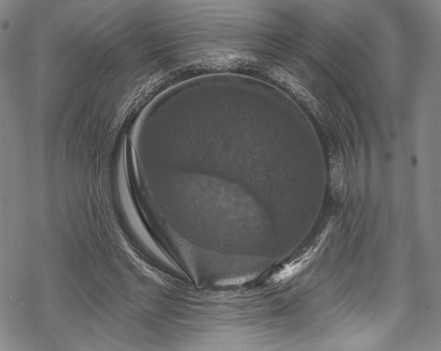 X0000068740493200605051455