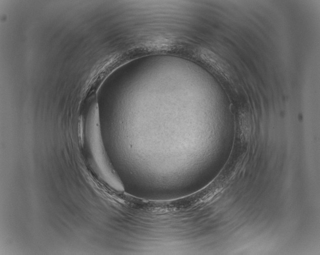 X0000068740494200605051455