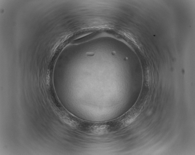 X0000068740495200605051455