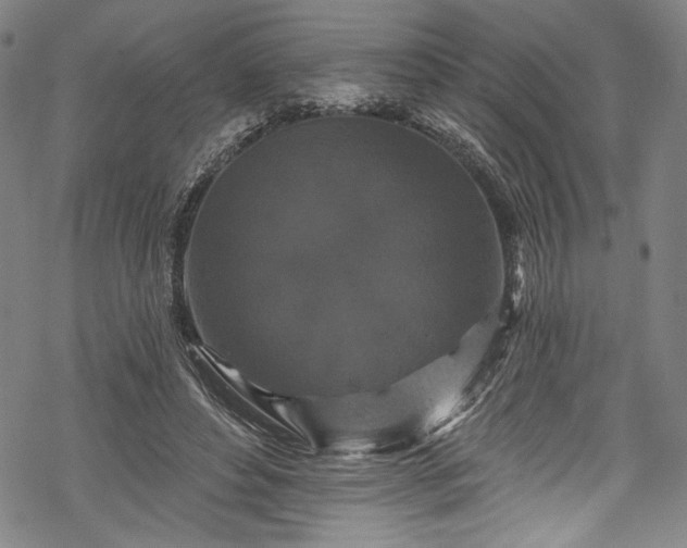 X0000068740496200605051455