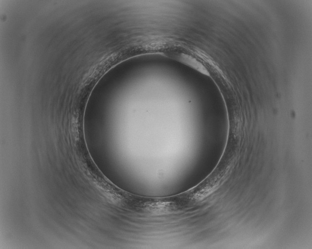 X0000068740497200605051454