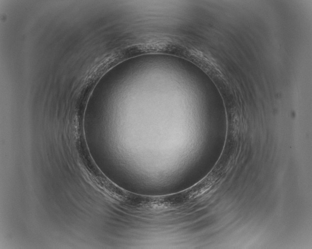 X0000068740498200605051454