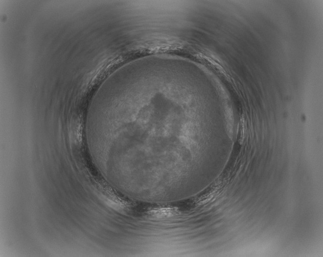 X0000068740499200605051454