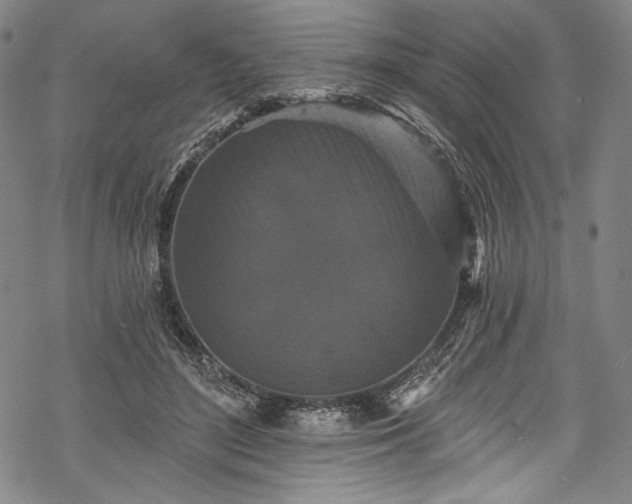 X0000068740500200605051454