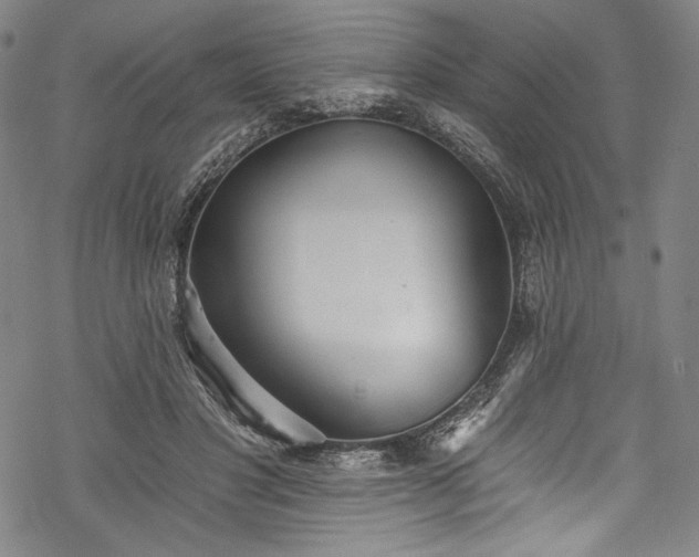 X0000068740501200605051454