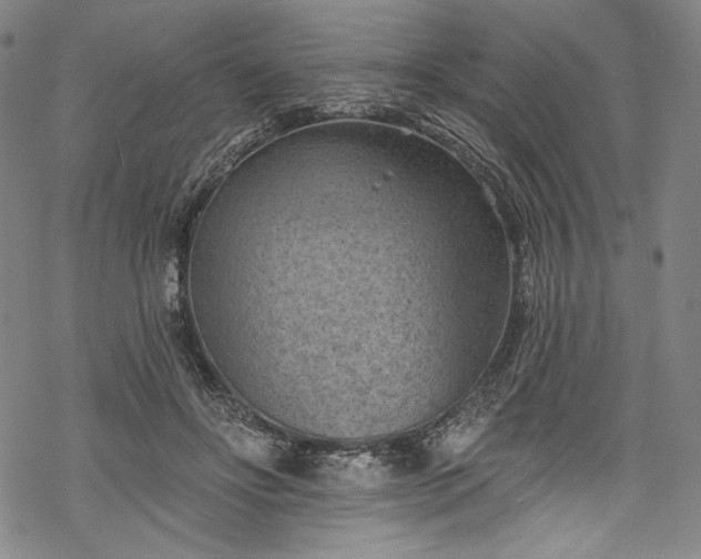 X0000068740502200605051454