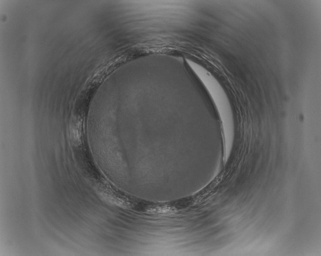 X0000068740503200605051454