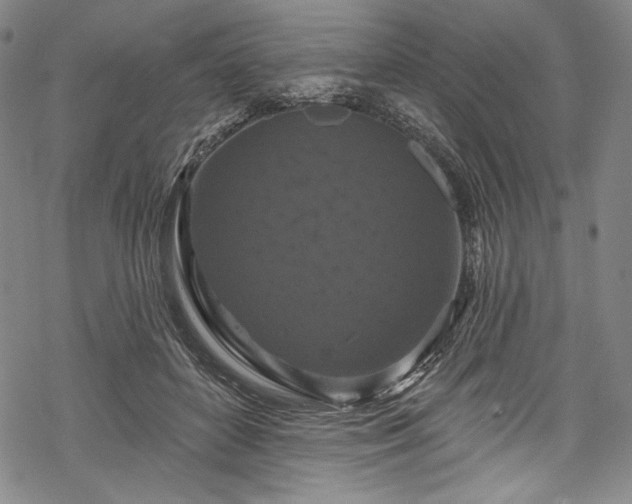 X0000068740504200605051454