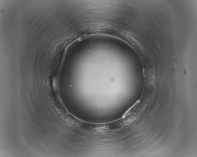 X0000068740505200605051454