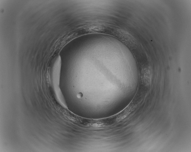 X0000068740506200605051454