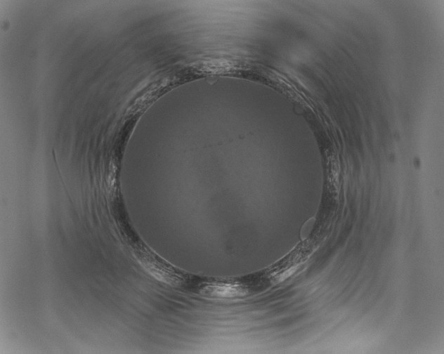 X0000068740507200605051454