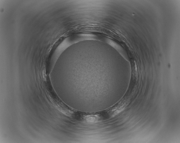 X0000068740508200605051454