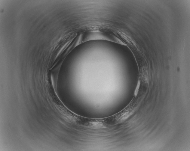 X0000068740509200605051454