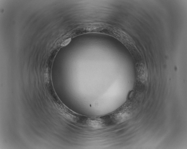 X0000068740510200605051454