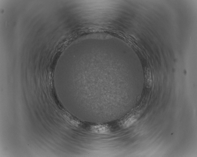 X0000068740511200605051454