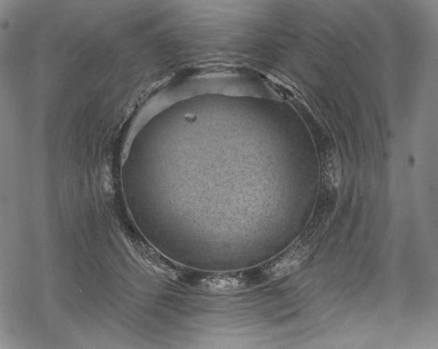 X0000068740512200605051454