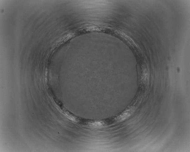 X0000068740513200605051454