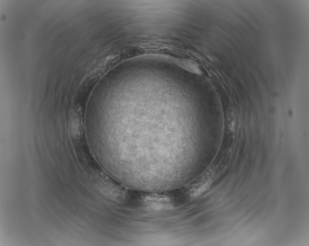 X0000068740515200605051454