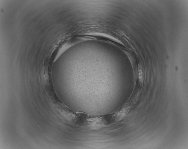 X0000068740516200605051454