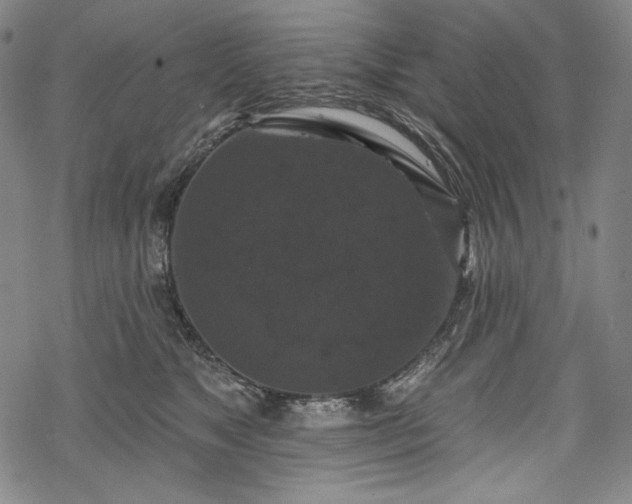 X0000068740517200605051454