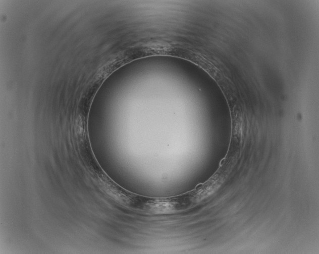 X0000068740518200605051454